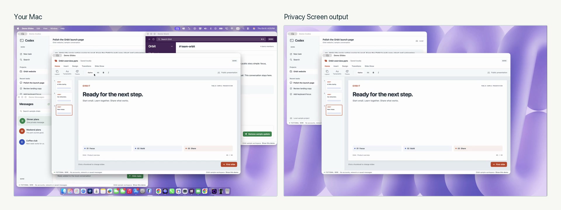 ScreenVeil demo showing sample work and private apps on a Mac alongside the app's Privacy Screen output.